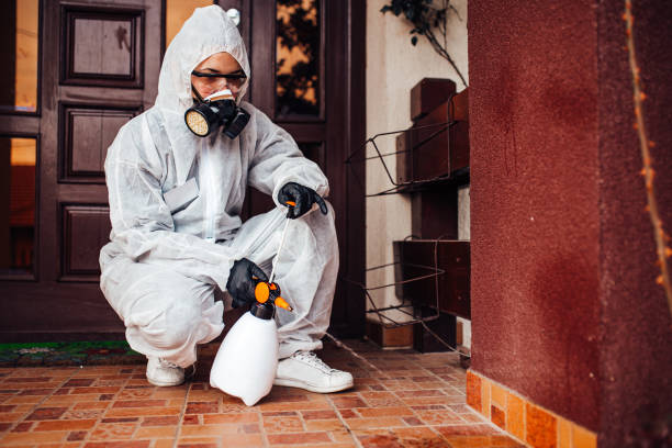 Reliable Rodent Control contractor in Port Vue, PA by Nex Pest Control