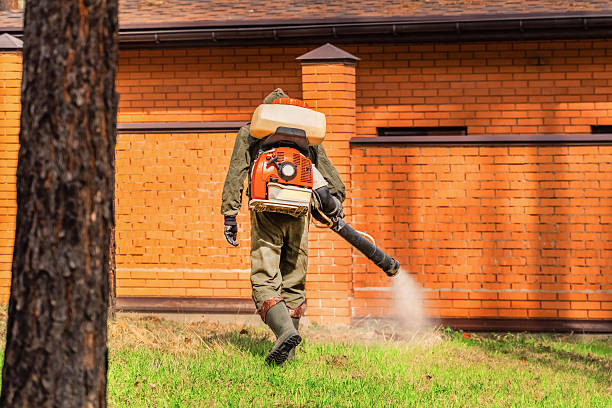 Trusted Mosquito Control service in Port Vue, PA - Nex Pest Control